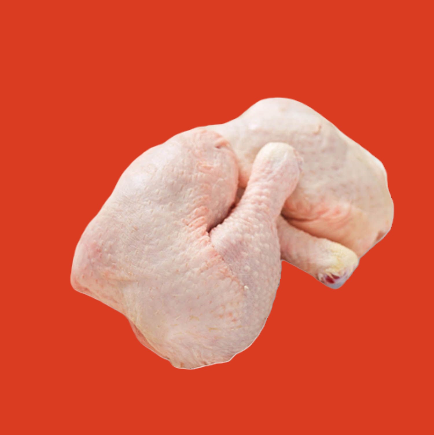 Awesome Product Image